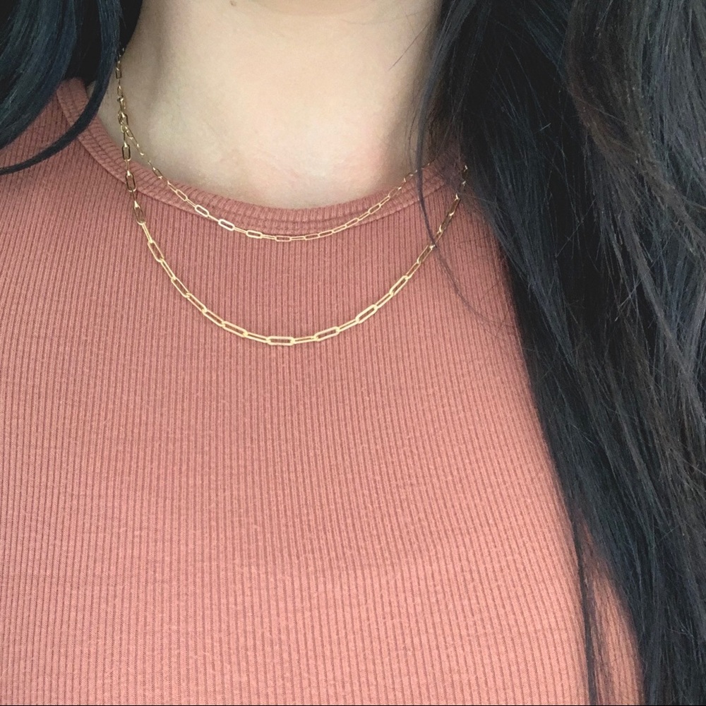 Double chain link necklace